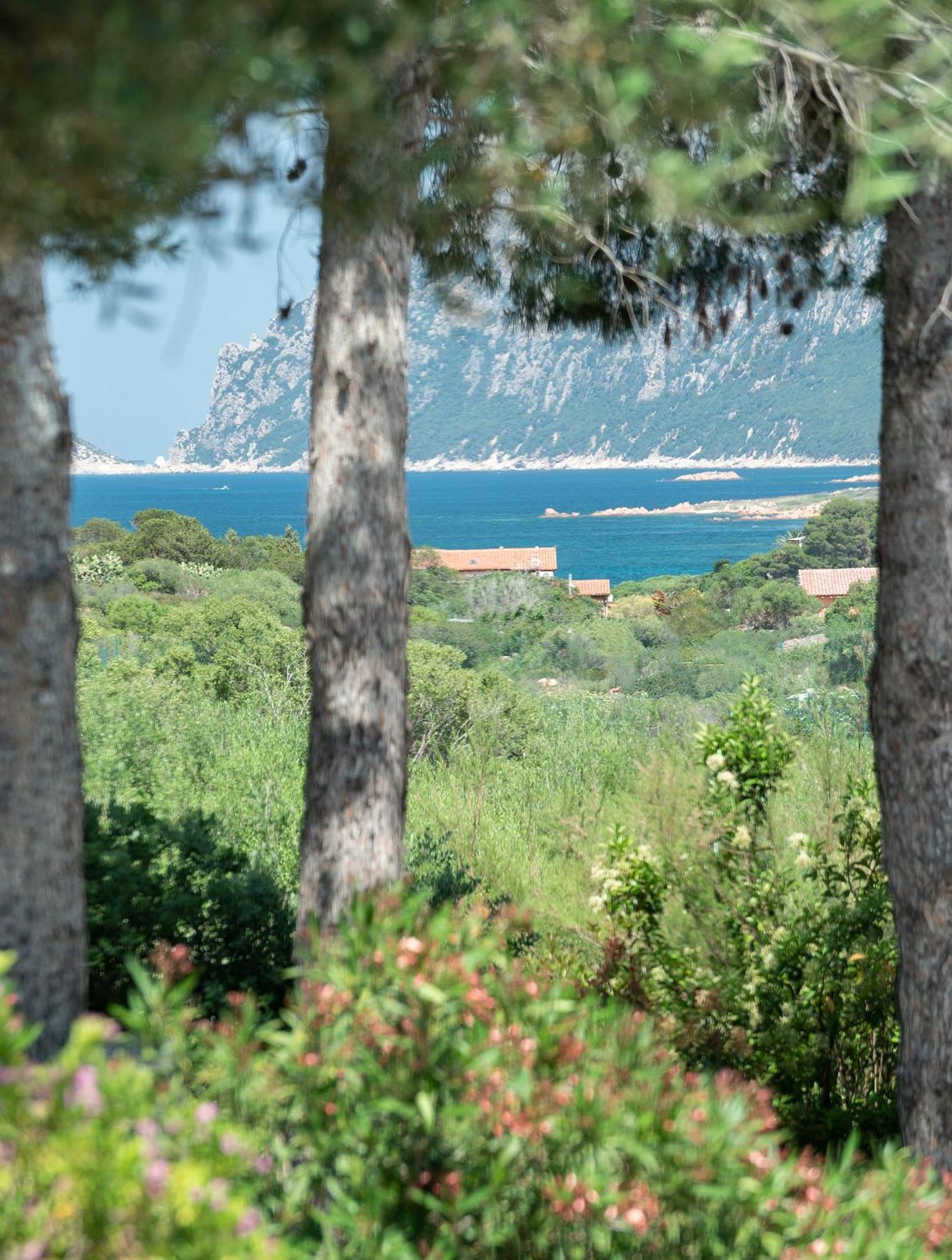 Hotel Ollastu Olbia Esterno foto